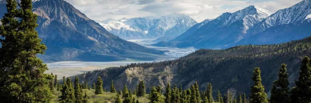 services-bg Services Bg 1024x341 1